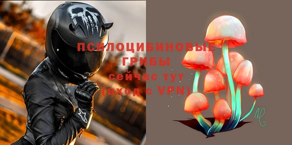 PSILOCYBIN Балабаново
