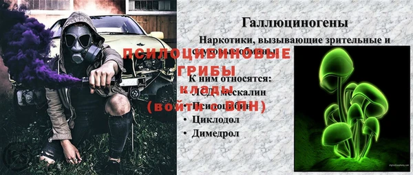 дживик Балахна