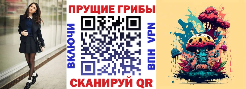 Галлюциногенные грибы Cubensis  Курчатов 
